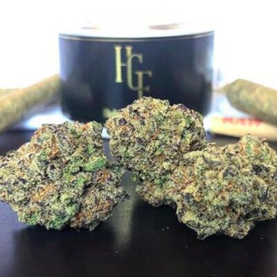 Hollywood High Grade
